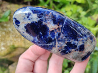 Polished Sodalite Standing Free Forms x 3 From Kunene River, Namibia