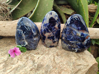Polished Sodalite Standing Free Forms x 3 From Kunene River, Namibia
