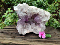 Natural Jacaranda Amethyst Quartz Cluster x 1 From Mumbwa, Zambia