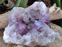 Natural Jacaranda Amethyst Quartz Cluster x 1 From Mumbwa, Zambia