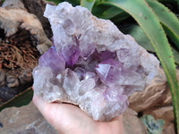 Natural Jacaranda Amethyst Quartz Cluster x 1 From Mumbwa, Zambia