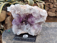 Natural Jacaranda Amethyst Quartz Cluster x 1 From Mumbwa, Zambia