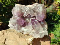 Natural Jacaranda Amethyst Quartz Cluster x 1 From Mumbwa, Zambia