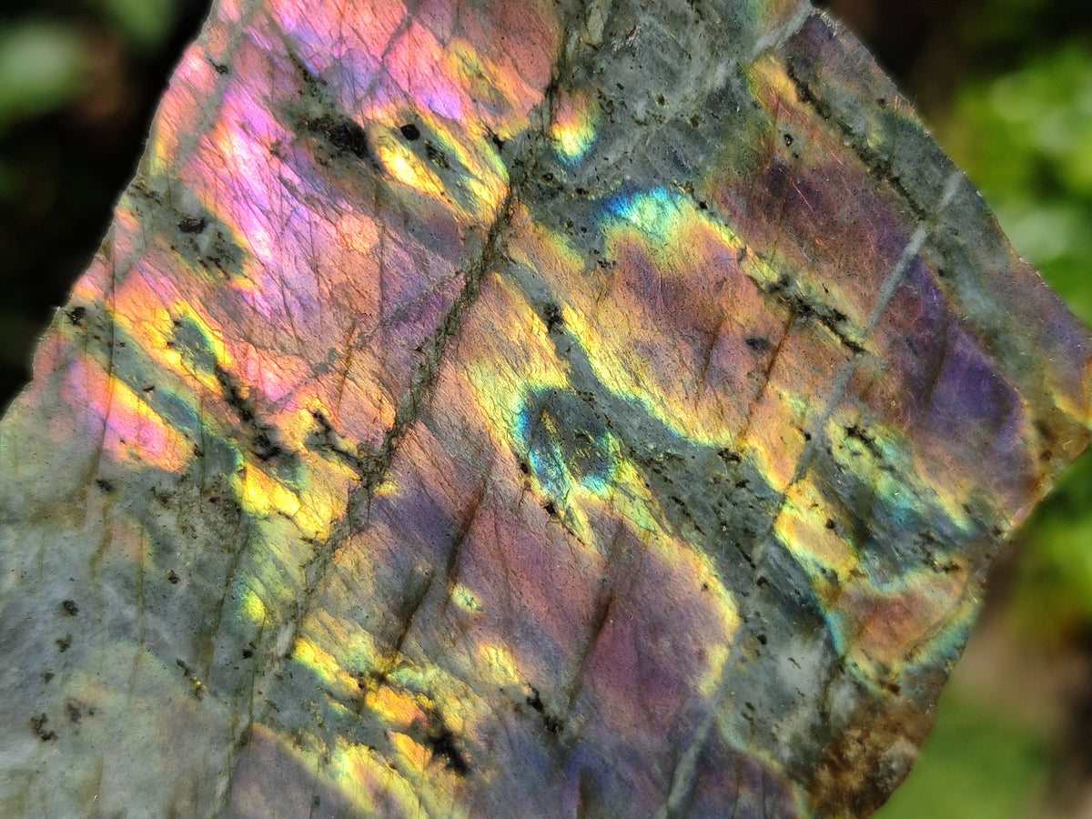 Polished On One Side Labradorite Plates x 6 From Tulear, Madagascar - Toprock Gemstones and Minerals 