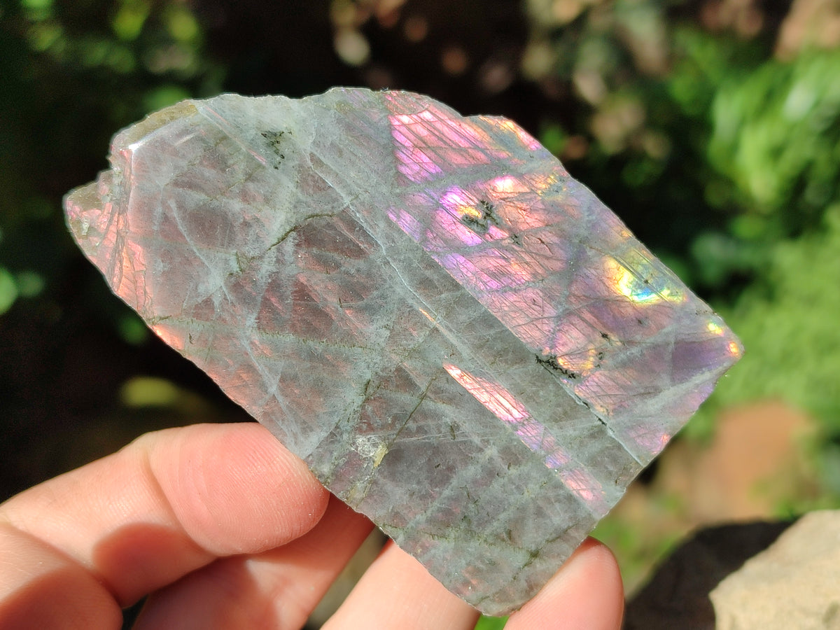 Polished On One Side Labradorite Plates x 6 From Tulear, Madagascar - Toprock Gemstones and Minerals 