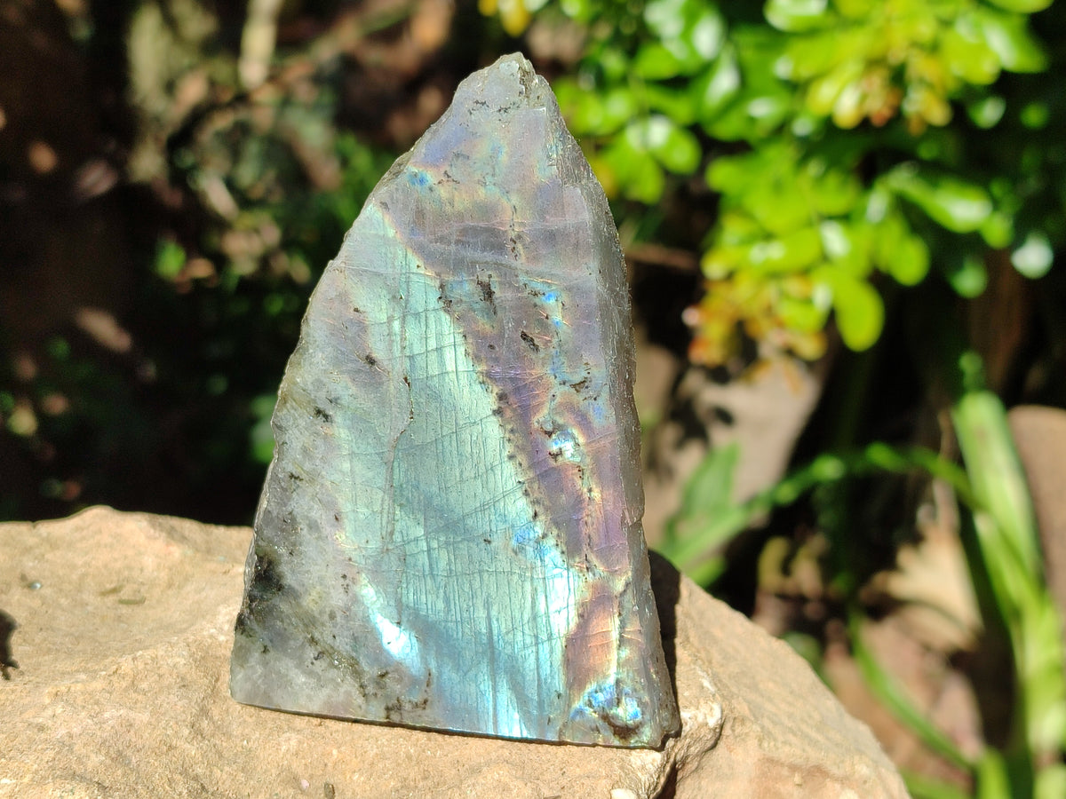 Polished On One Side Labradorite Plates x 6 From Tulear, Madagascar - Toprock Gemstones and Minerals 