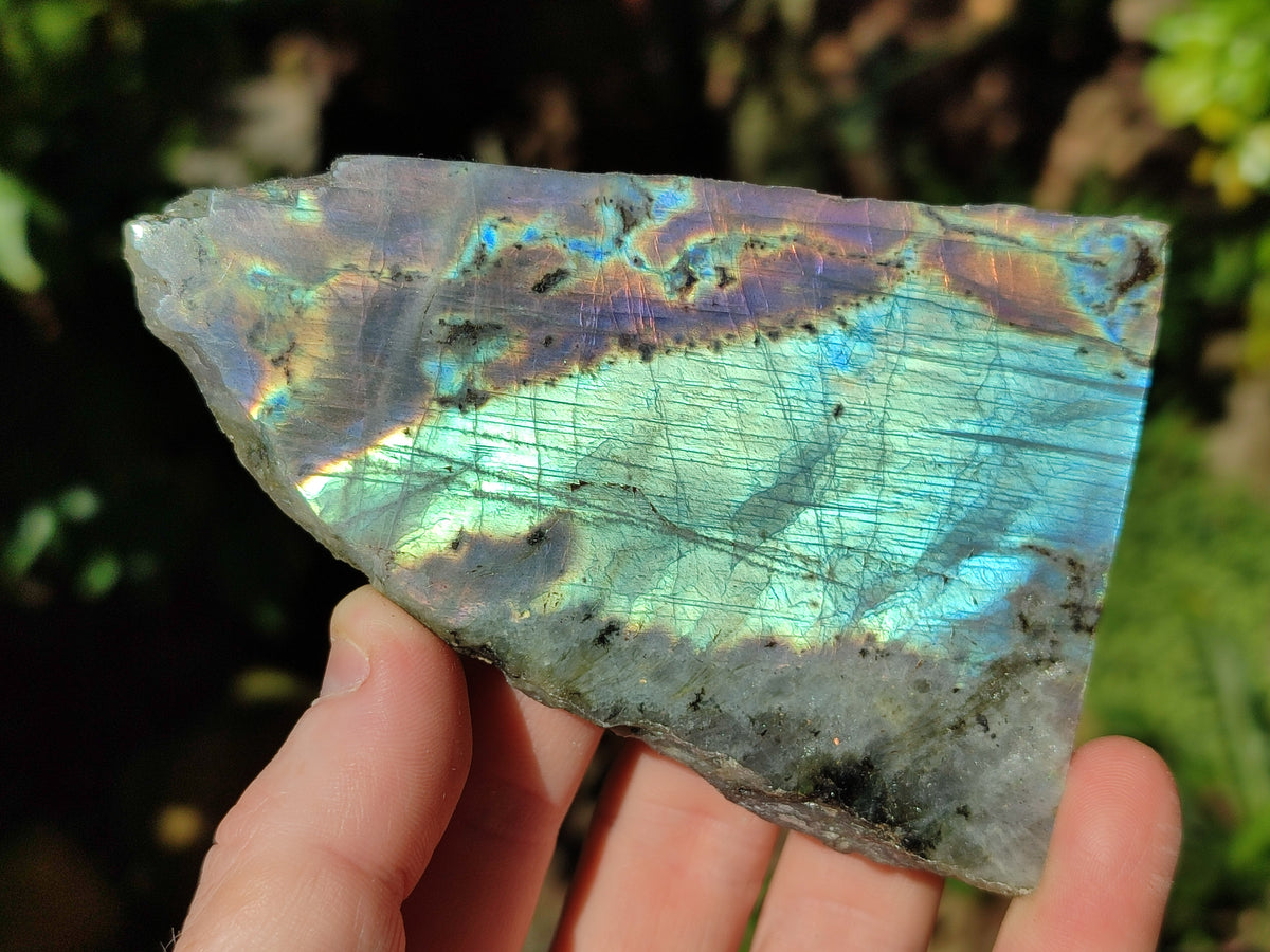 Polished On One Side Labradorite Plates x 6 From Tulear, Madagascar - Toprock Gemstones and Minerals 