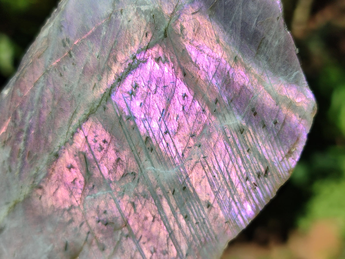 Polished On One Side Labradorite Plates x 6 From Tulear, Madagascar - Toprock Gemstones and Minerals 