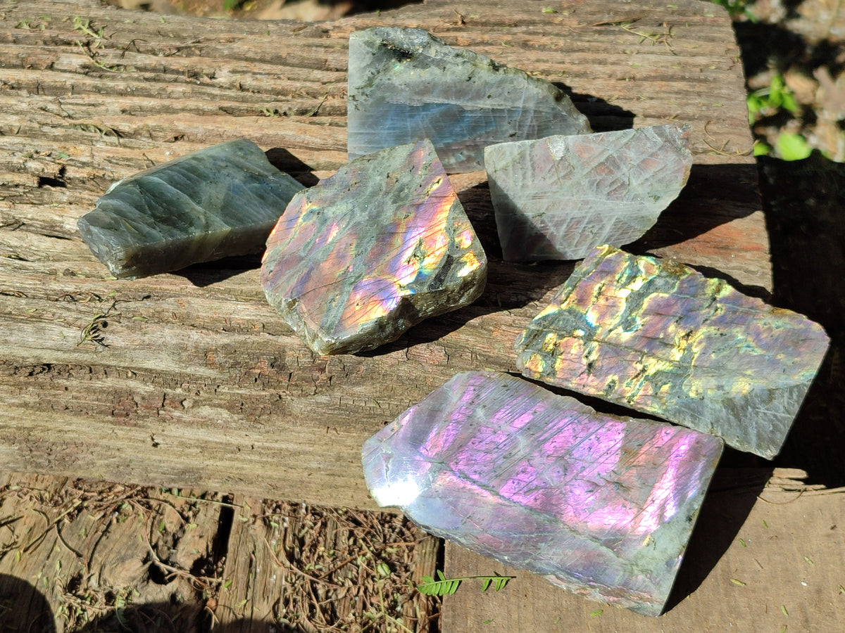 Polished On One Side Labradorite Plates x 6 From Tulear, Madagascar - Toprock Gemstones and Minerals 