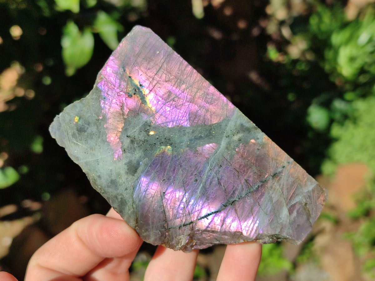 Polished On One Side Labradorite Plates x 6 From Tulear, Madagascar - Toprock Gemstones and Minerals 