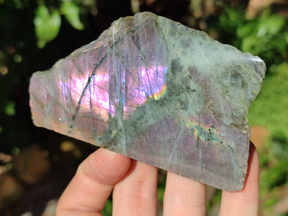 Polished On One Side Labradorite Plates x 6 From Tulear, Madagascar - Toprock Gemstones and Minerals 