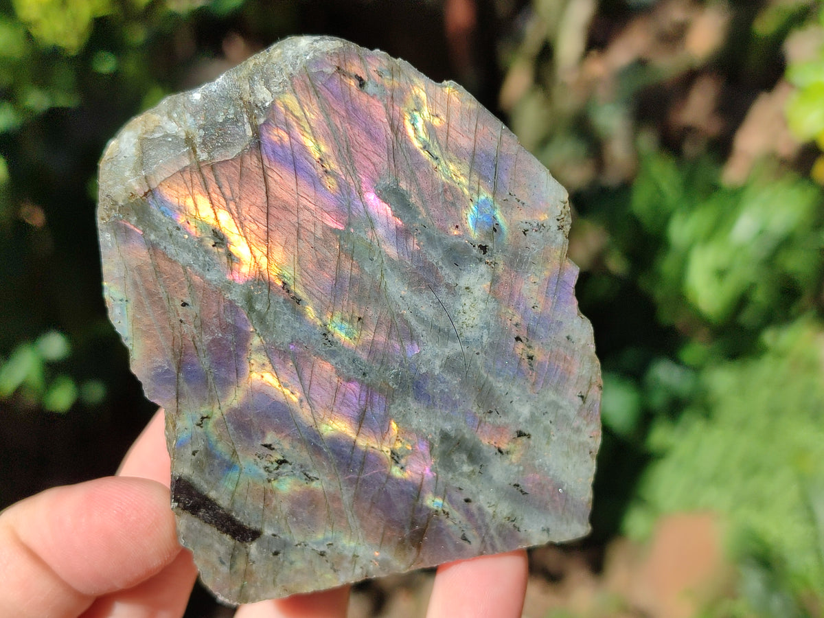 Polished On One Side Labradorite Plates x 6 From Tulear, Madagascar - Toprock Gemstones and Minerals 