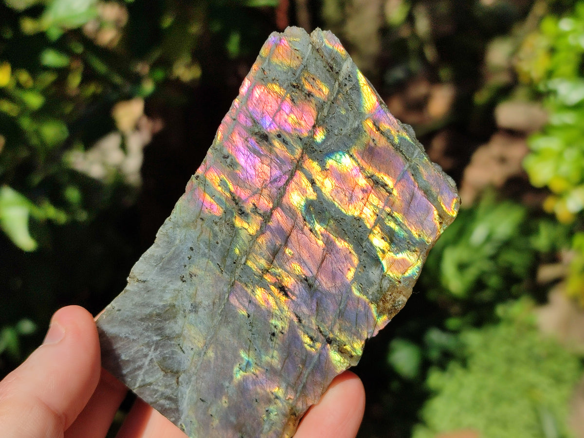 Polished On One Side Labradorite Plates x 6 From Tulear, Madagascar - Toprock Gemstones and Minerals 