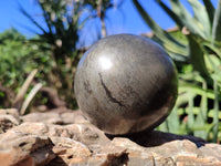 Polished Rare Pharaoh Stone Pyrite in Basalt Sphere x 1 From Iron Duke Mine, Zimbabwe