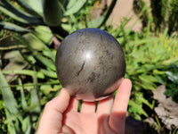 Polished Rare Pharaoh Stone Pyrite in Basalt Sphere x 1 From Iron Duke Mine, Zimbabwe