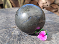 Polished Rare Pharaoh Stone Pyrite in Basalt Sphere x 1 From Iron Duke Mine, Zimbabwe