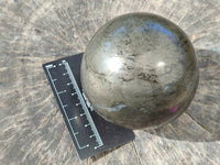 Polished Rare Pharaoh Stone Pyrite in Basalt Sphere x 1 From Iron Duke Mine, Zimbabwe