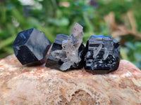 Natural Schorl Black Tourmaline Specimens x 70 From Erongo, Namibia
