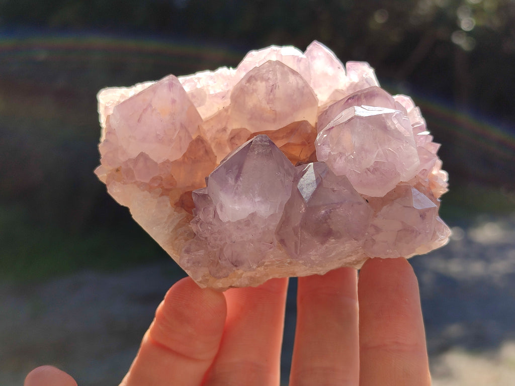 Natural Cactus Flower Sunburst Spirit Amethyst Clusters x 4 From South Africa - Toprock Gemstones and Minerals 