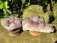 Natural Cactus Flower Sunburst Spirit Amethyst Clusters x 4 From South Africa
