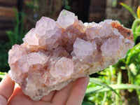 Natural Cactus Flower Sunburst Spirit Amethyst Clusters x 4 From South Africa