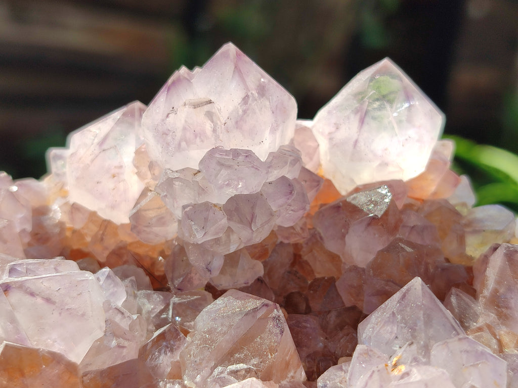 Natural Cactus Flower Sunburst Spirit Amethyst Clusters x 4 From South Africa - Toprock Gemstones and Minerals 