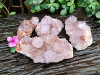 Natural Cactus Flower Sunburst Spirit Amethyst Clusters x 4 From South Africa