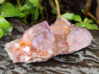 Natural Cactus Flower Sunburst Spirit Amethyst Clusters x 4 From South Africa