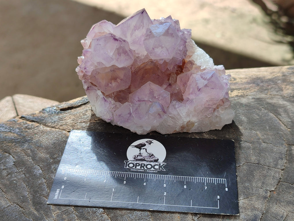 Natural Cactus Flower Sunburst Spirit Amethyst Clusters x 4 From South Africa - Toprock Gemstones and Minerals 