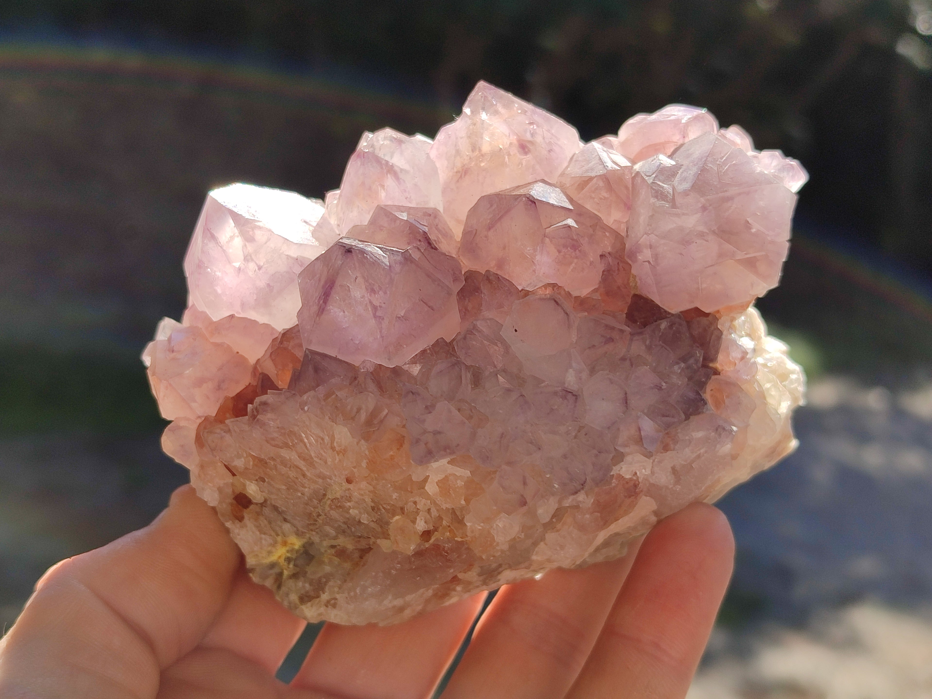 Natural Cactus Flower Sunburst Spirit Amethyst Clusters x 4 From South Africa - Toprock Gemstones and Minerals 