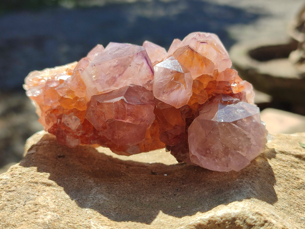 Natural Cactus Flower Sunburst Spirit Amethyst Clusters x 4 From South Africa - Toprock Gemstones and Minerals 