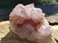 Natural Cactus Flower Sunburst Spirit Amethyst Clusters x 4 From South Africa