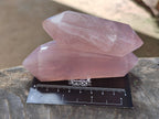 Polished Gemmy Double Terminated Rose Quartz Points x 12 From Madagascar - Toprock Gemstones and Minerals 