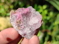 Natural Salrose Cobaltion Dolomite Specimens x 12 From Kakanda, Congo