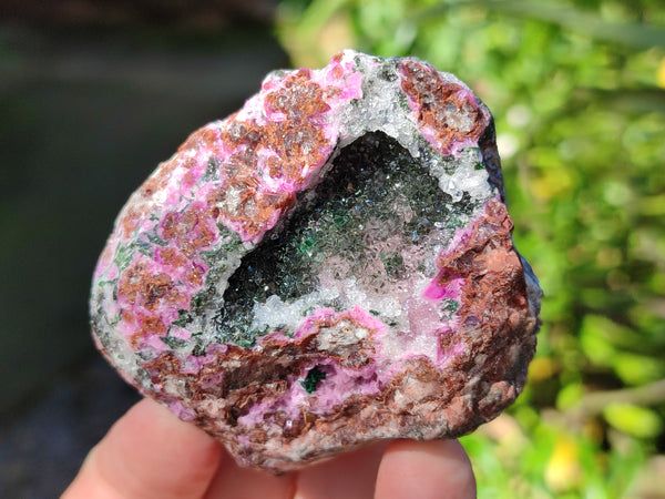 Natural Salrose Cobaltion Dolomite Specimens x 12 From Kakanda, Congo
