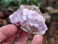 Natural Salrose Cobaltion Dolomite Specimens x 12 From Kakanda, Congo