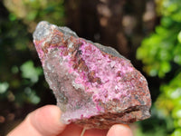 Natural Salrose Cobaltion Dolomite Specimens x 12 From Kakanda, Congo