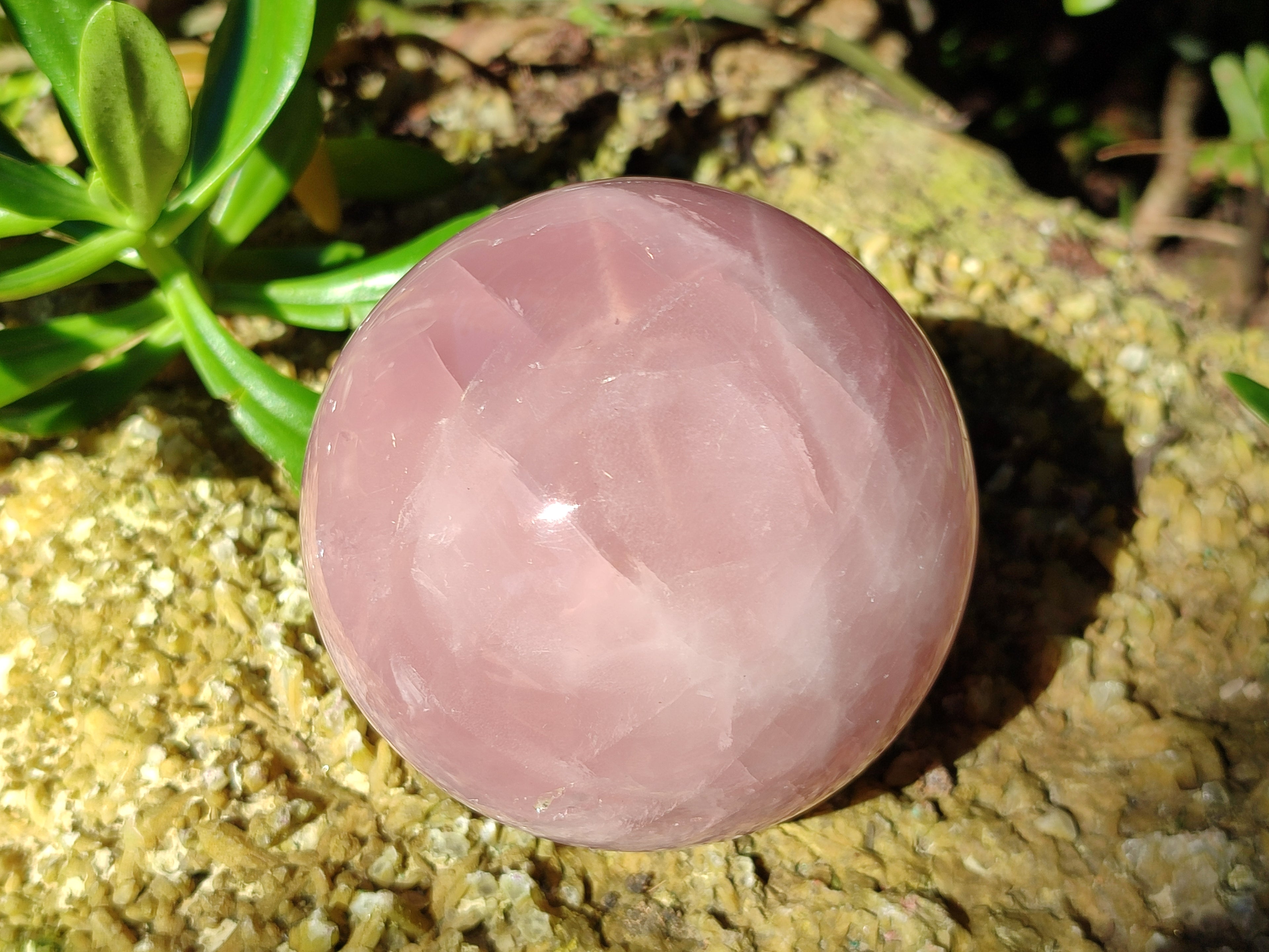 Polished Star Rose Quartz Spheres x 2 From Ambatondrazaka, Madagascar - Toprock Gemstones and Minerals 