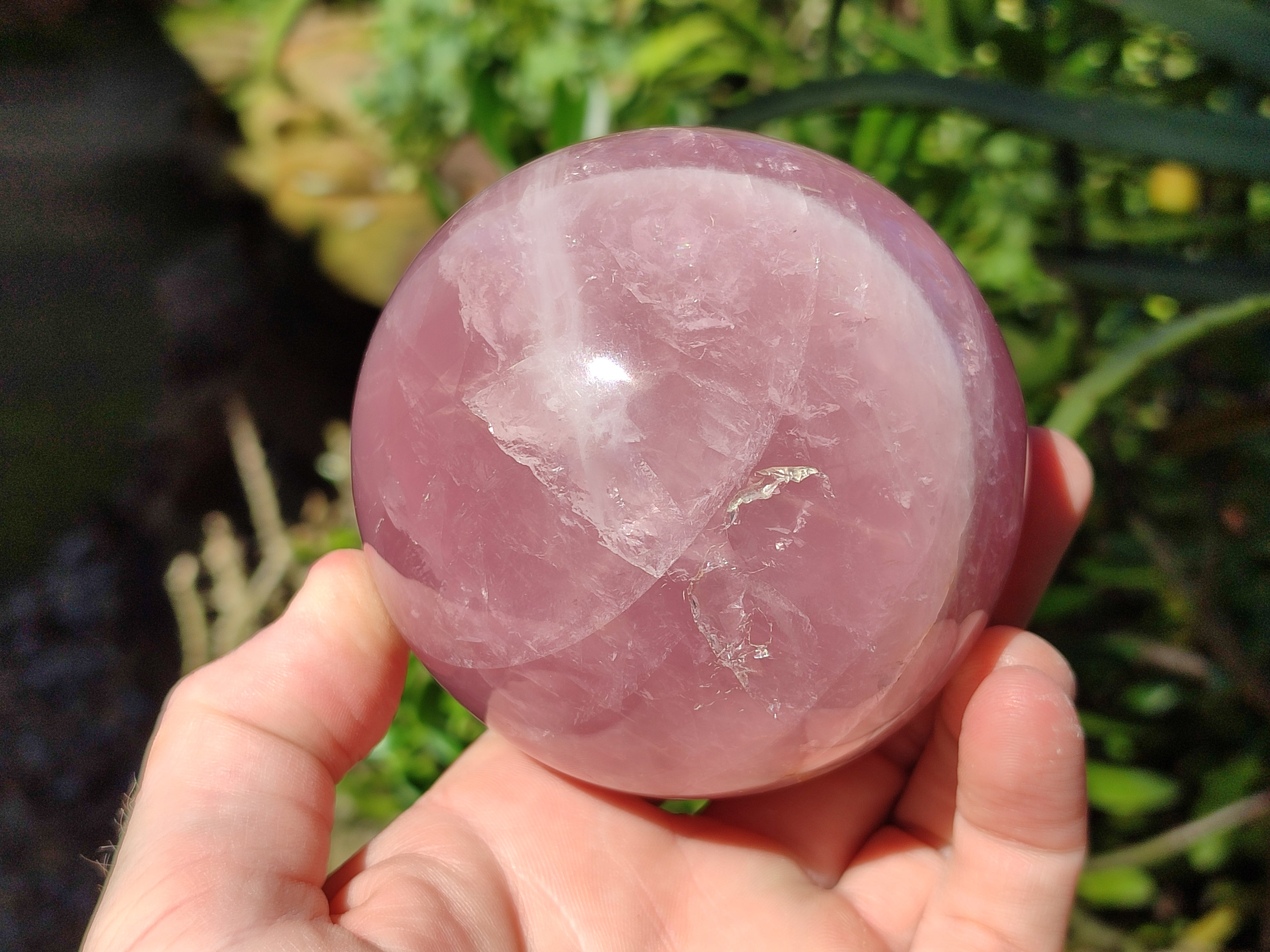 Polished Star Rose Quartz Spheres x 2 From Ambatondrazaka, Madagascar - Toprock Gemstones and Minerals 