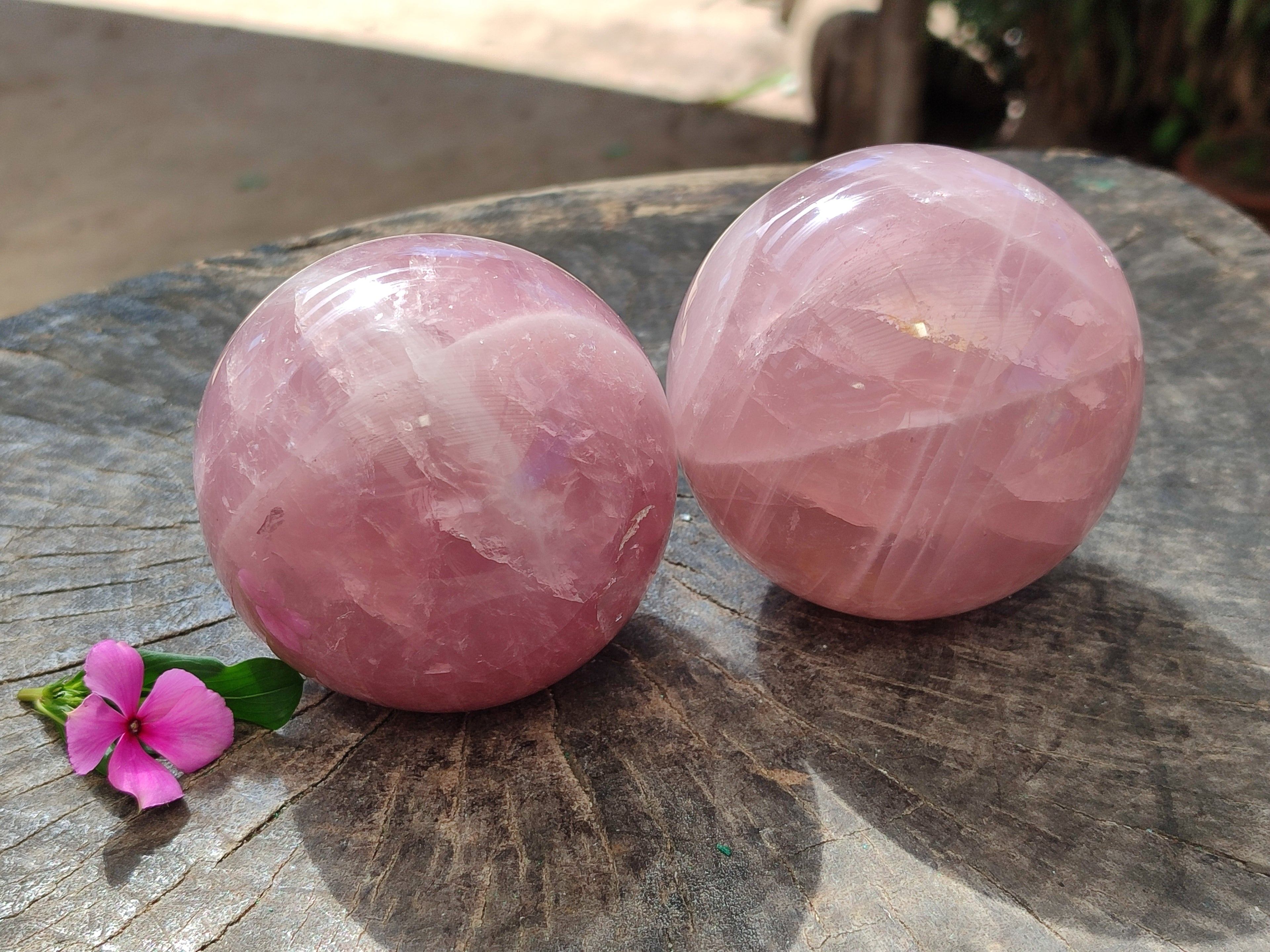 Polished Star Rose Quartz Spheres x 2 From Ambatondrazaka, Madagascar - Toprock Gemstones and Minerals 