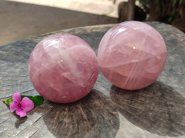 Polished Star Rose Quartz Spheres x 2 From Ambatondrazaka, Madagascar