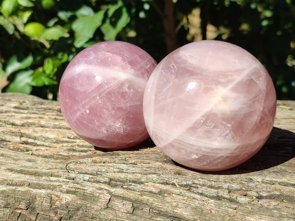 Polished Star Rose Quartz Spheres x 2 From Ambatondrazaka, Madagascar - Toprock Gemstones and Minerals 