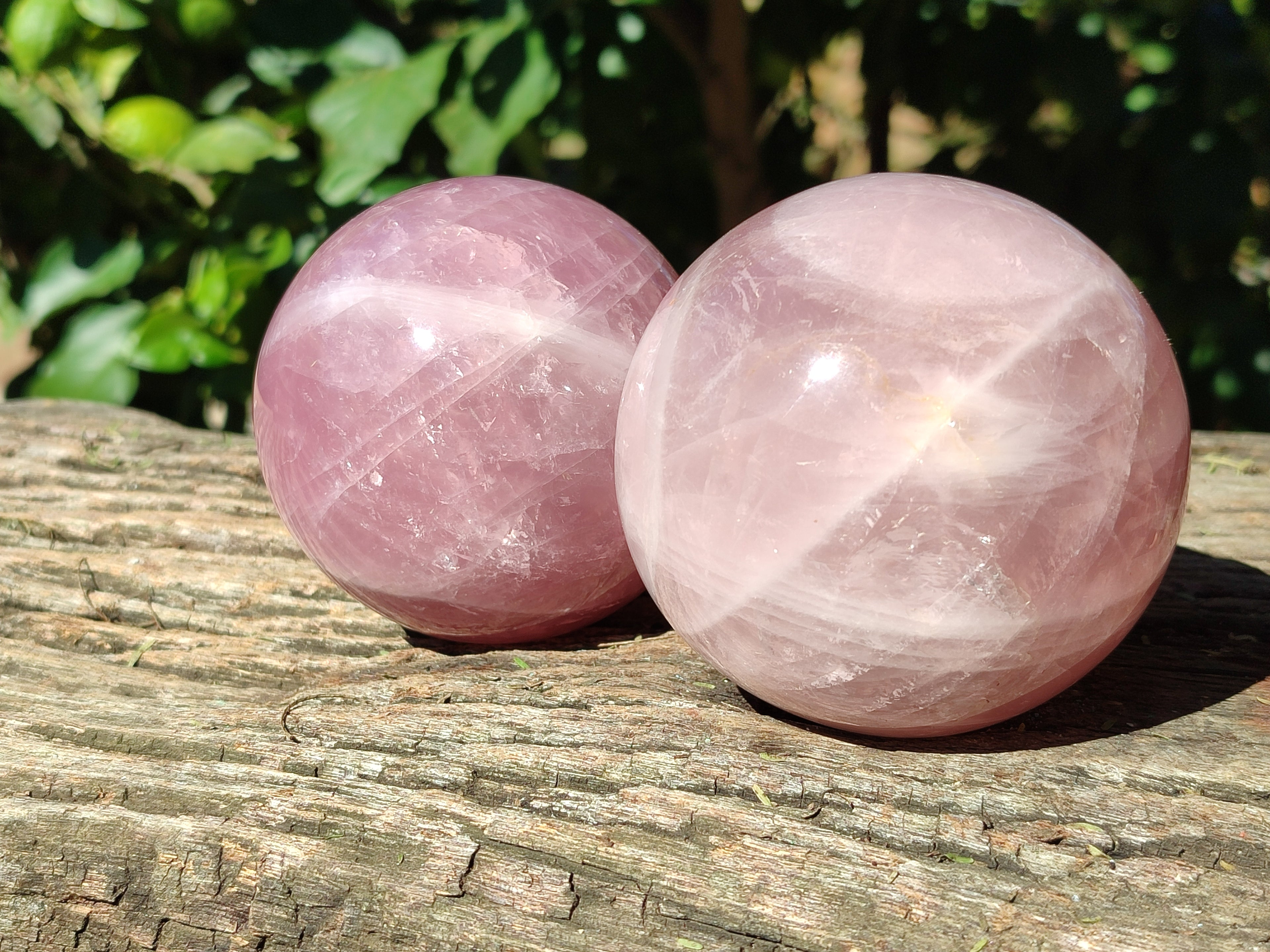 Polished Star Rose Quartz Spheres x 2 From Ambatondrazaka, Madagascar - Toprock Gemstones and Minerals 