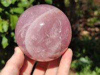Polished Star Rose Quartz Spheres x 2 From Ambatondrazaka, Madagascar
