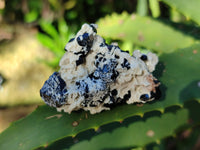 Natural Schorl Black Tourmaline Specimens with Inclusions x 20 From Erongo, Namibia
