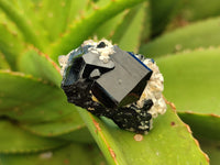 Natural Schorl Black Tourmaline Specimens with Inclusions x 20 From Erongo, Namibia