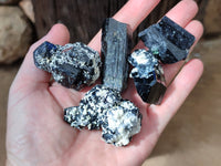 Natural Schorl Black Tourmaline Specimens with Inclusions x 20 From Erongo, Namibia