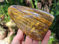 Polished Neolite Standing Free Forms x 3 From Prieska, South Africa