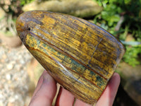 Polished Neolite Standing Free Forms x 3 From Prieska, South Africa