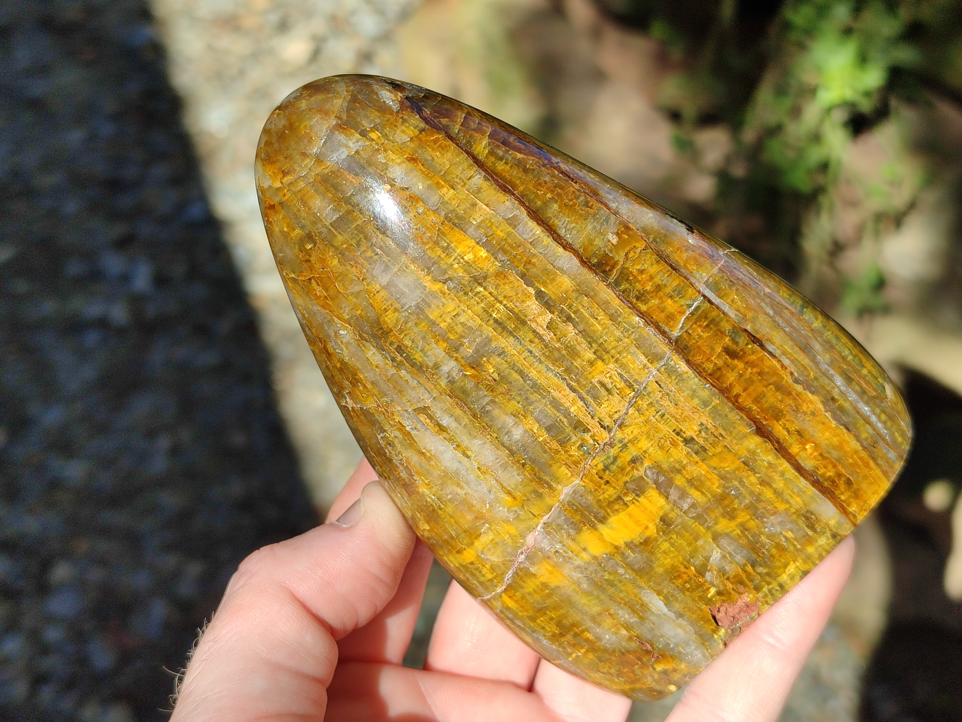 Polished Neolite Standing Free Forms x 3 From Prieska, South Africa - Toprock Gemstones and Minerals 